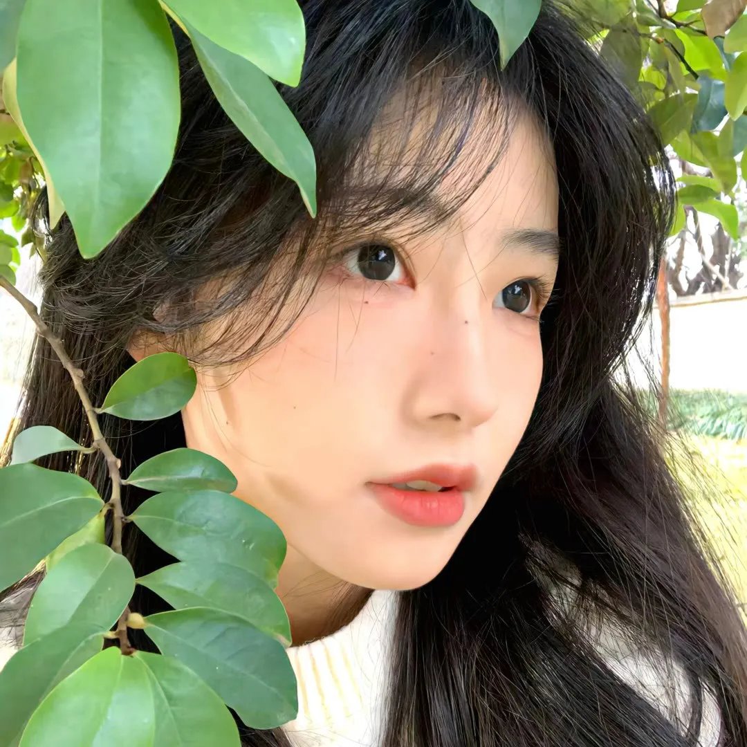 赛马娘